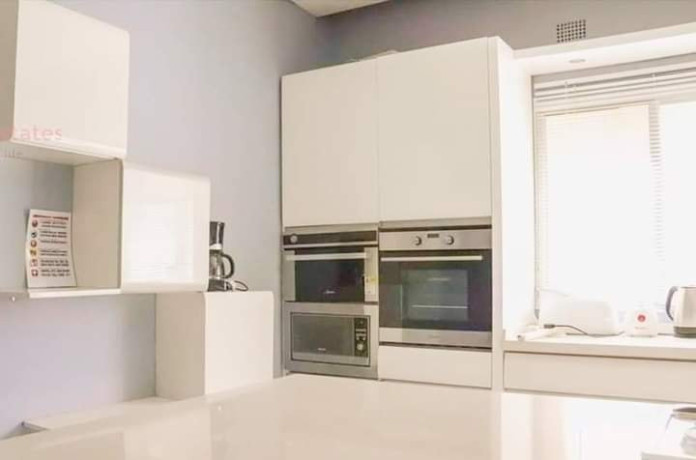 eureka-park-executive-4-bed-fully-furnished-villa-big-2