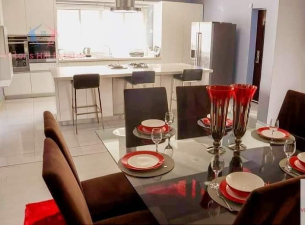 eureka-park-executive-4-bed-fully-furnished-villa-big-7