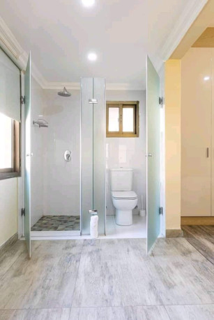 luxury-3-bedroom-fully-furnished-apartment-with-individual-pool-big-4