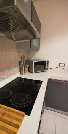 fully-furnished-townhouse-in-roma-big-3