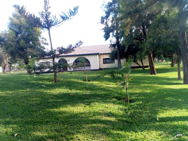 beautiful-4-bedroom-house-for-rent-in-lusaka-big-3