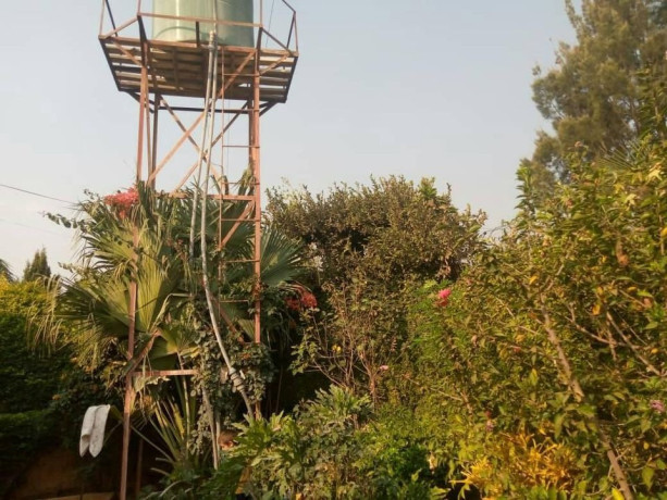 executive-3-bedroom-house-for-rent-in-makeni-bonaventure-big-1