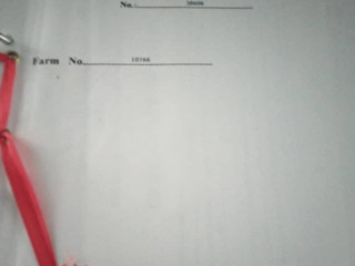 173-hectares-in-mungule-area-chibombo