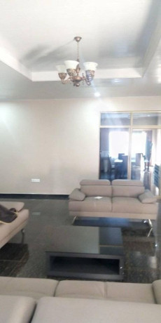 executive-flat-for-rent-mass-media-big-0