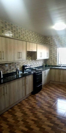 executive-flat-for-rent-mass-media-big-2