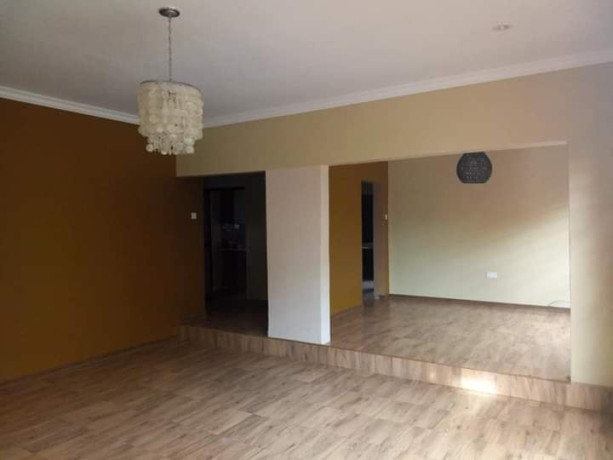 modern-4-bedroom-house-with-gardens-in-ibex-3rd-street-big-4