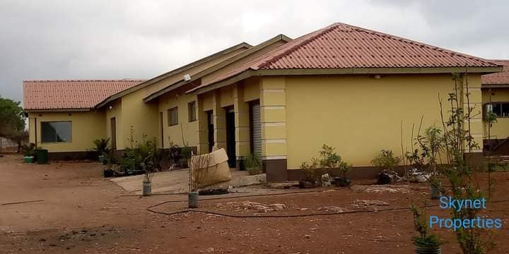 spacious-house-on-a-5-acres-farm-big-4