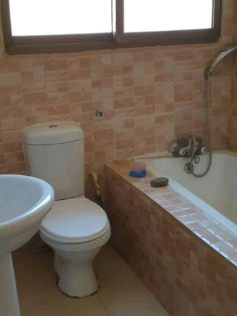 executive-modernised-3-bedroom-house-for-sale-big-3