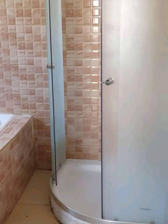 executive-modernised-3-bedroom-house-for-sale-big-4