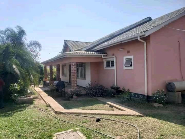 executive-4-bedroom-standalone-house-for-sale-big-6