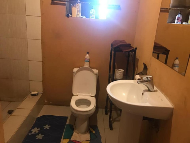 executive-stand-alone-house-in-silverest-big-2