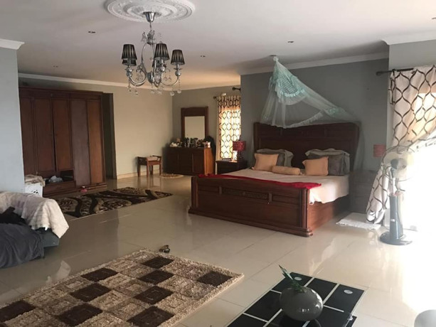 executive-stand-alone-house-in-silverest-big-3