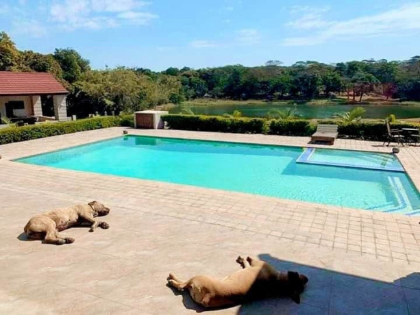 ndola-executive-7-bedroom-house-with-river-front-and-multiple-sports-court-big-3