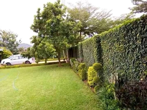 4-bedroom-house-for-sale-in-ibex-hill-big-1