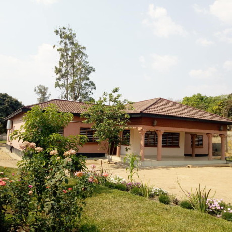 5-bedroom-house-for-sale-in-olympia-big-4