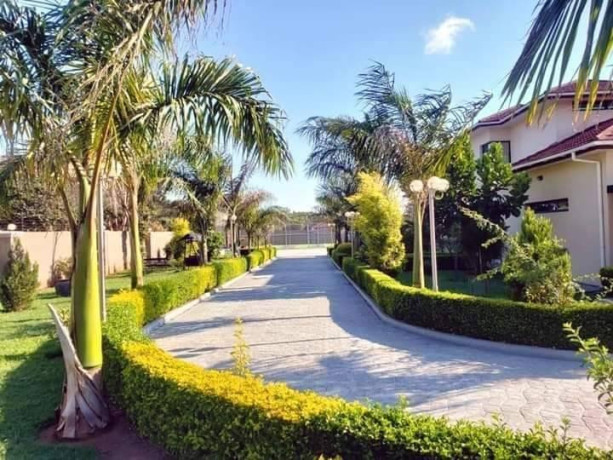 luxurious-ibex-5-bedroom-house-with-swimming-pool-and-cottage-big-4