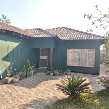 3-bedroom-house-for-sale-in-chelstone-palm-drive-big-3