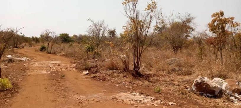 2-acres-of-land-for-sale-in-new-kasama-big-2