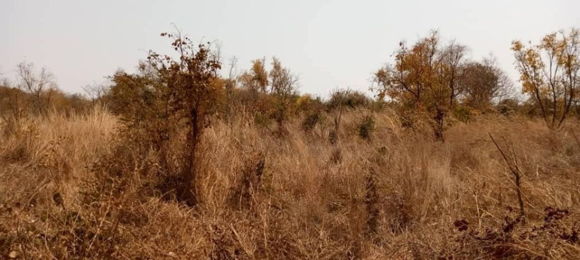 2-acres-of-land-for-sale-in-new-kasama-big-0