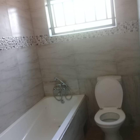 house-for-rent-in-avondale-big-2