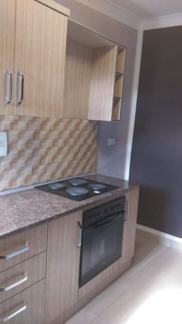 2-bedrooms-msc-flat-for-sale-and-rent-in-avondale-big-8