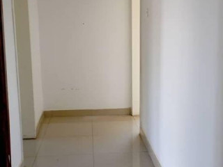 executive-2-bedroom-msc-flat
