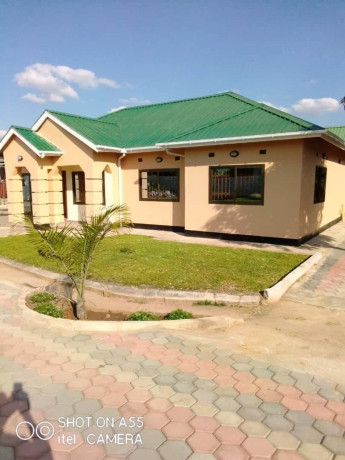 rent-ibex-near-grand-daddy-big-2