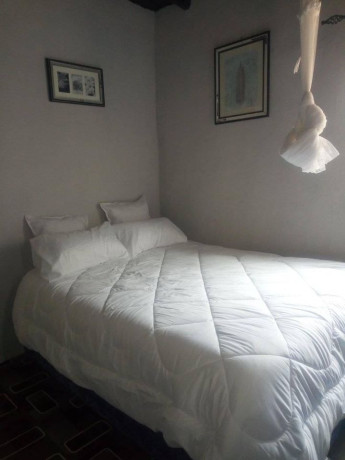 furnished-bedsitter-for-rent-in-avondale-big-0