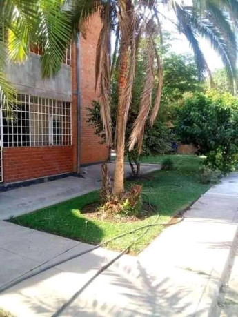 executive-3-bedroomed-high-rise-flat-for-rent-in-rhodes-park-big-8