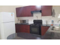 mass-media-2-bedroom-furnished-flats-for-rent-small-1