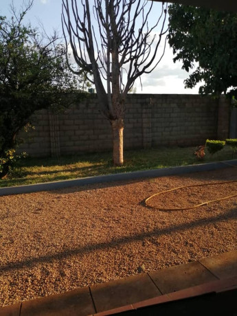 affordable-accommodation-for-females-in-woodlands-big-5