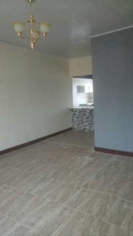 newly-built-2-bedroom-flat-for-rent-big-2