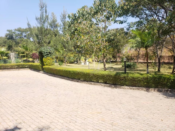 executive-3-bedroom-stand-alone-villa-for-rent-in-new-kasama-big-6