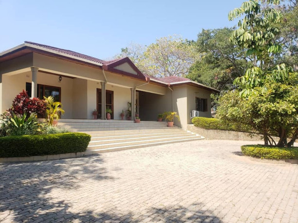 executive-3-bedroom-stand-alone-villa-for-rent-in-new-kasama-big-8