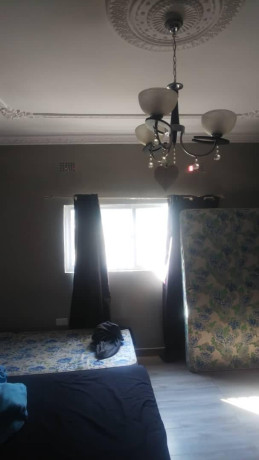 furnished-one-bedroom-apartment-for-rent-in-roma-big-1