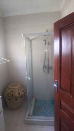 furnished-one-bedroom-apartment-for-rent-in-roma-big-3