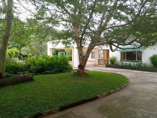 spacious-property-for-rent-in-roma-big-5