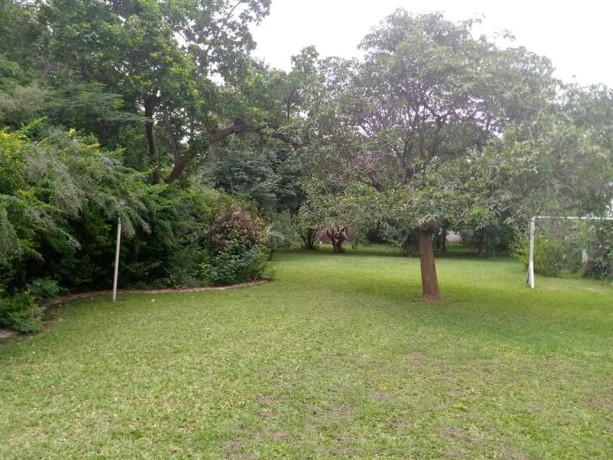 spacious-property-for-rent-in-roma-big-6