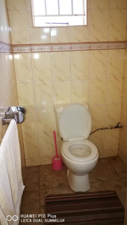 5-bedroom-farm-house-with-land-big-3