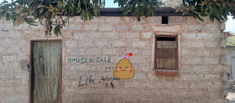 house-for-sale-at-kabanana-market-big-2