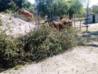 farm-for-sale-in-kapiri