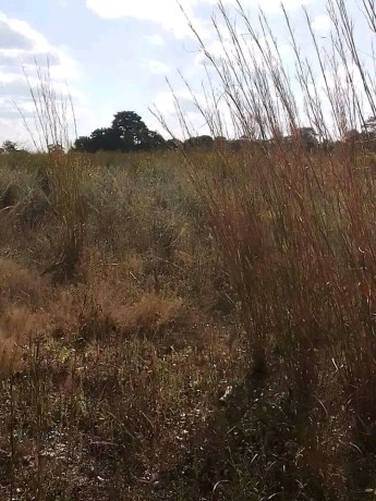 farm-for-sale-in-kapiri-big-4