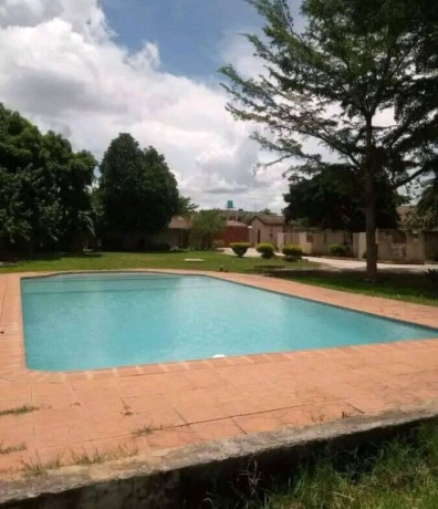 3-bedroom-house-for-rent-in-ibex-hill-big-6