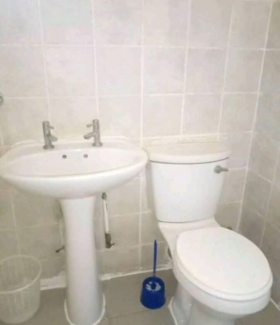 3-bedroom-house-for-rent-in-ibex-hill-big-8