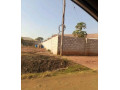 plot-for-sale-in-lilayi-small-0