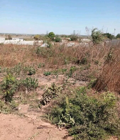 plot-for-sale-in-ngwerere-big-1