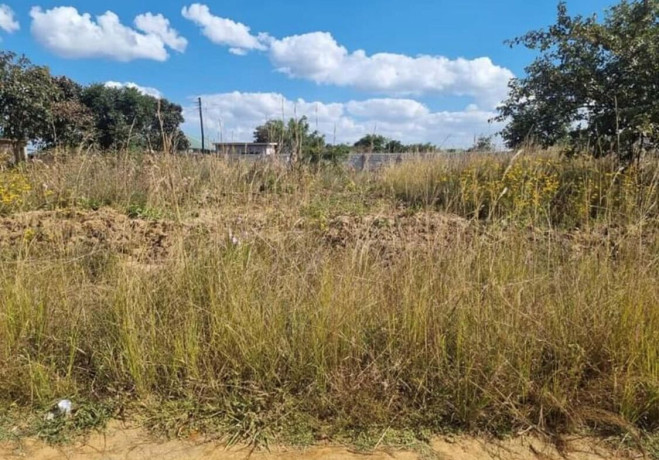 plot-for-sale-in-vorna-valley-big-2