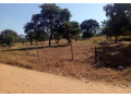5-acre-land-for-sale-in-new-kasama-small-3