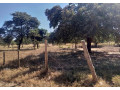 5-acre-land-for-sale-in-new-kasama-small-1