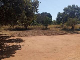 5-acre-land-for-sale-in-new-kasama